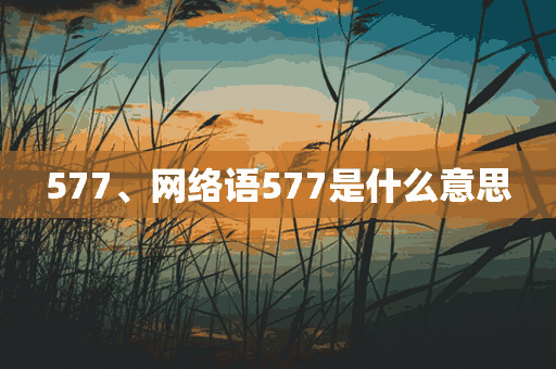 577、网络语577是什么意思(网络用语577是什么意思)